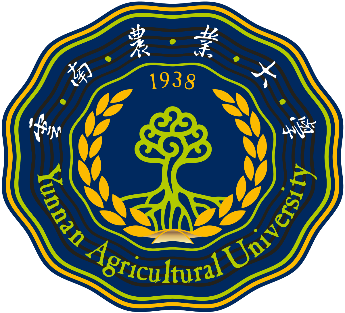 云南农业大学女篮