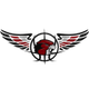 佛肯女篮 logo