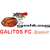 巴雷鲁加利托 logo