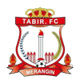 塔比尔 logo