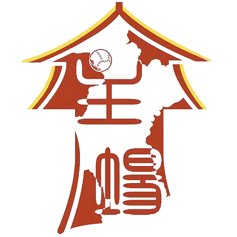 淄博主场山理工女足