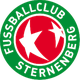 斯特南伯格 logo