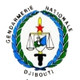 CF国家宪兵队 logo