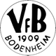 VFB伯德赫姆