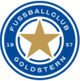戈德斯特恩 logo