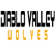 暗黑破坏神谷狼女足 logo