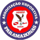 帕拉马佐纳斯U19 logo