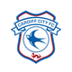 卡迪夫城U18 logo