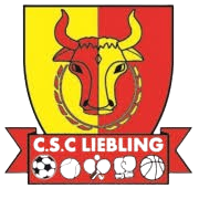 CSC利伯林 logo