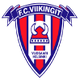 E维京基特 logo
