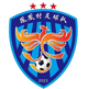 凤凰村足球队 logo