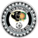 西科游击队 logo